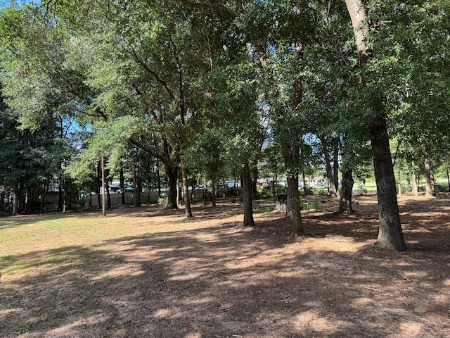 471 Faith St, Enterprise, AL 36330 - view of yard