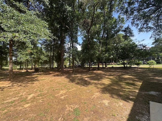 471 Faith St, Enterprise, AL 36330 - view of yard