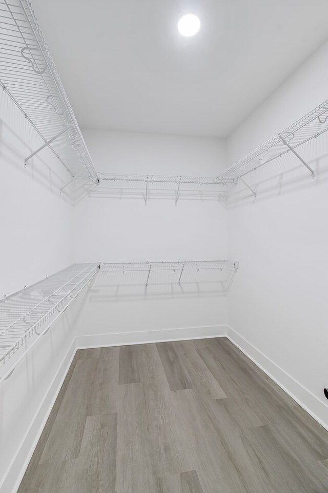 walk in closet featuring wood-type flooring