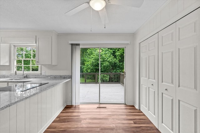 kitchen featuring a sink, healthy amount of natural light, ceiling fan, wood finished floors, and crown molding