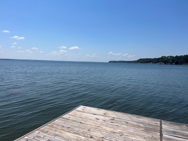 1651 Lakefront, Abbeville, AL 36310 - photo 22