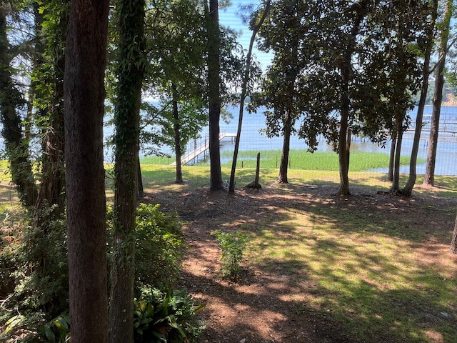 1651 Lakefront, Abbeville, AL 36310 - photo 19