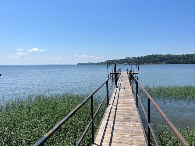 1651 Lakefront, Abbeville, AL 36310 - photo 21