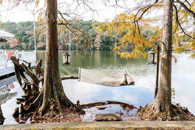 dock area featuring a water view