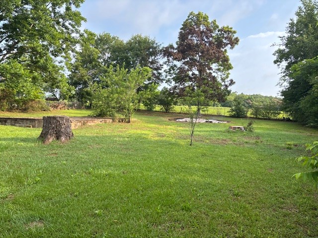 195 Donnie Mae Dr, Dothan, AL 36301 - view of green lawn