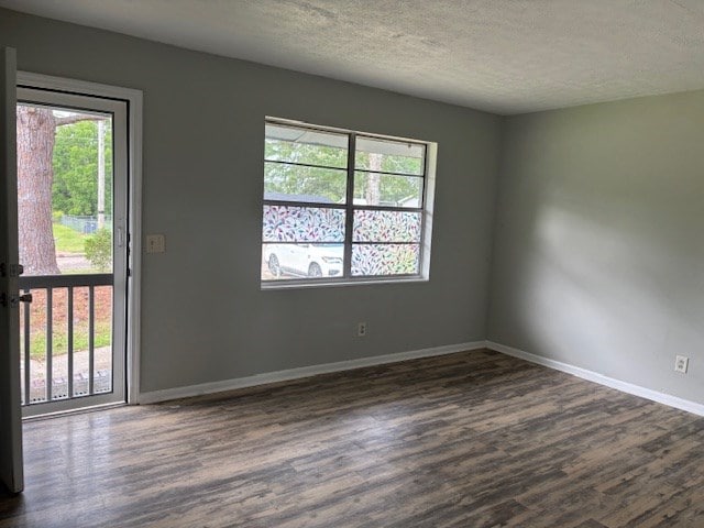 195 Donnie Mae Dr, Dothan, AL 36301 - empty room with dark wood-style floors, healthy amount of natural light, and a textured ceiling