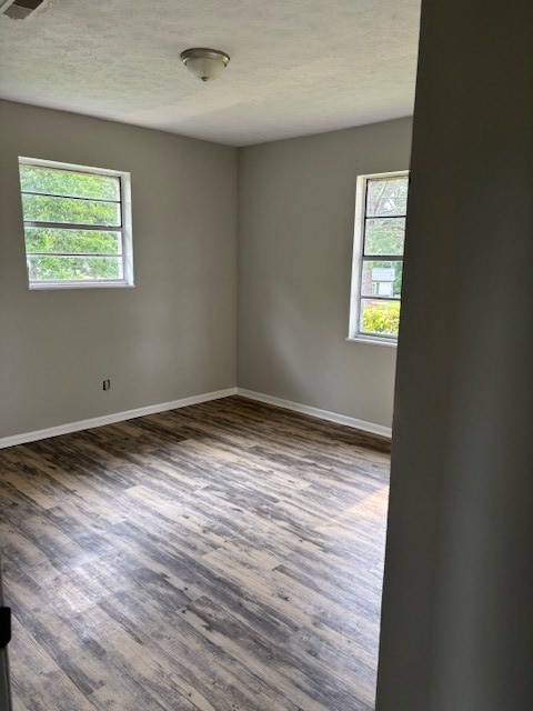 195 Donnie Mae Dr, Dothan, AL 36301 - empty room featuring dark wood finished floors and a textured ceiling