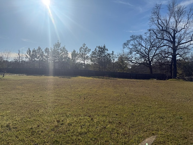 244 Cove Dr, Abbeville, AL 36310 - view of yard featuring fence