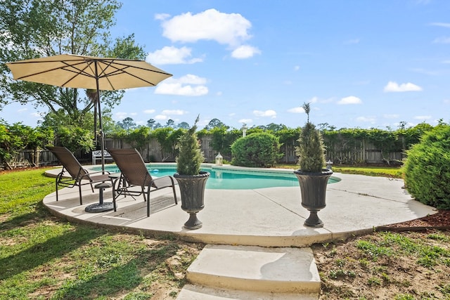 13215 E State Highway 52, Hartford, AL 36344 - view of swimming pool featuring a patio area