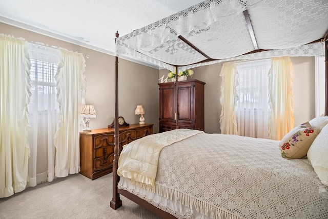 13215 E State Highway 52, Hartford, AL 36344 - bedroom featuring light colored carpet and multiple windows