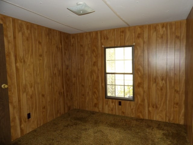 spare room featuring wood walls and carpet