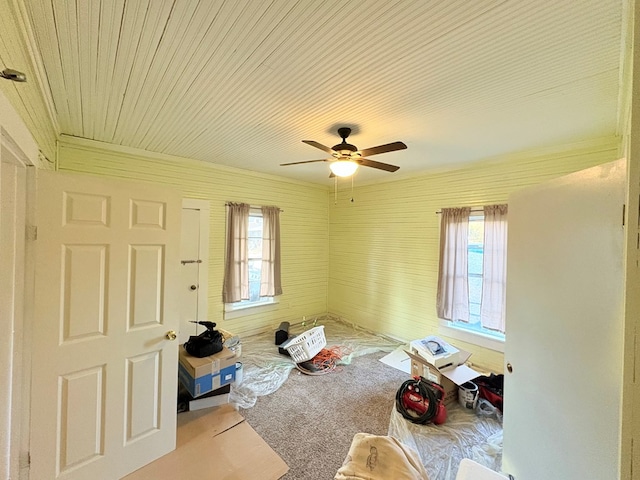 interior space with carpet floors, plenty of natural light, and a ceiling fan