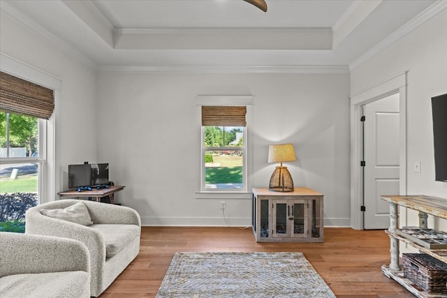 living area with a raised ceiling, plenty of natural light, and wood finished floors