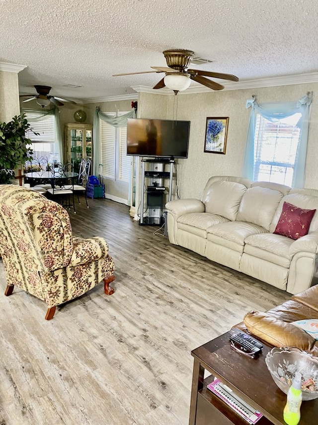 living room with wood-type flooring, a textured ceiling, ceiling fan, and crown molding