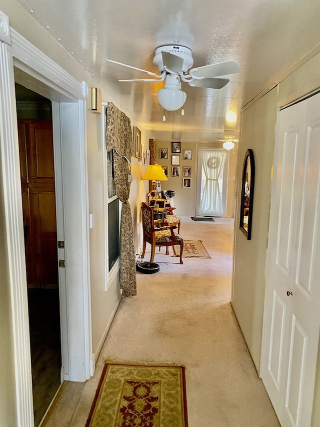 hallway featuring light carpet