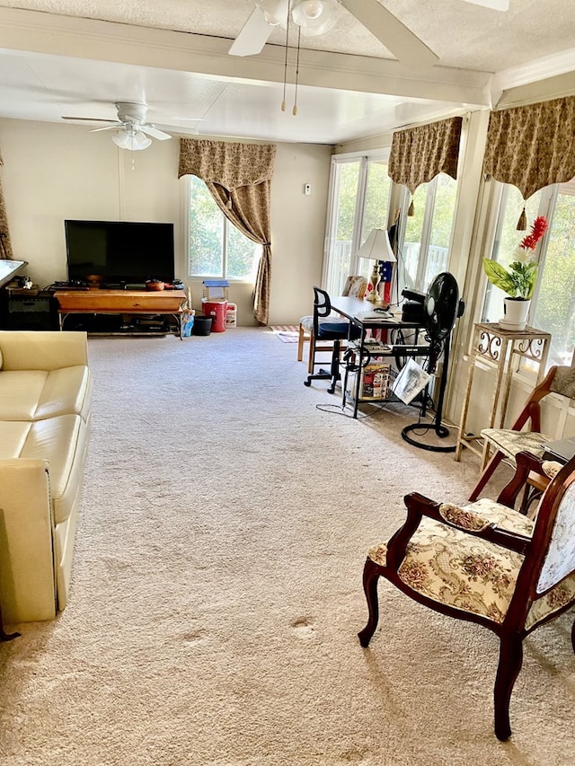 living room with ceiling fan, carpet, and a textured ceiling