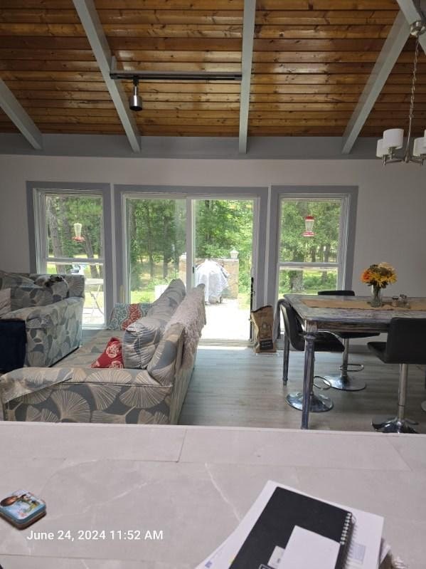 1442 Jernigan Rd, Ozark, AL 36360 - living room featuring a wooden ceiling with exposed beams, wood finished floors, a chandelier, and track lighting