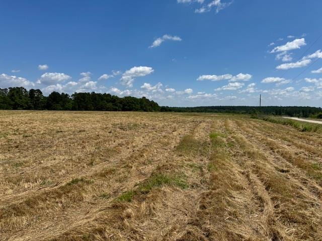 0 N County Road 33, Ashford AL, 36312 land for sale