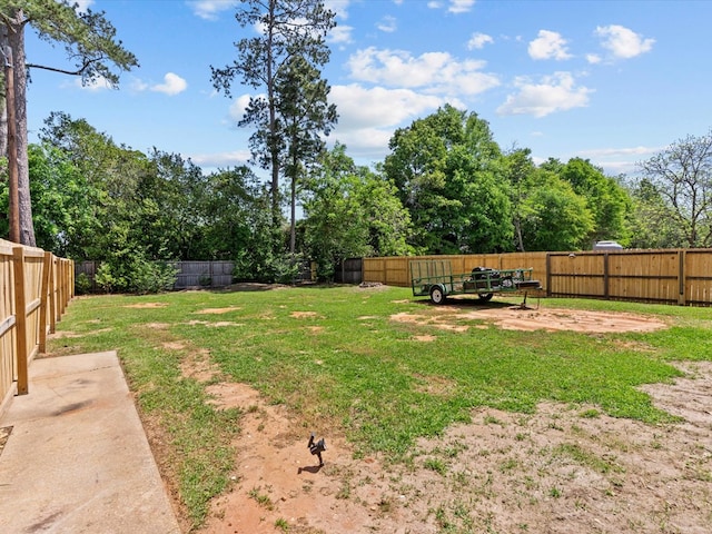 203 E Mckinnon St, New Brockton, AL 36351 - view of fenced backyard