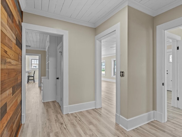 203 E Mckinnon St, New Brockton, AL 36351 - corridor featuring crown molding and light wood-style floors