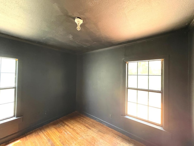 176 Camilla Ave, Ozark, AL 36345 - spare room featuring ornamental molding, light wood-style flooring, and a textured ceiling