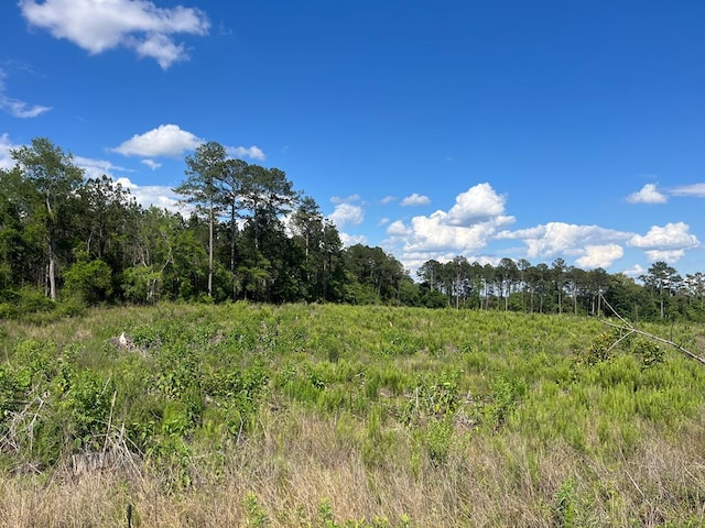 LOT8 Gordon Williams Rd, Columbia, AL 36319