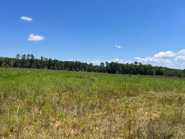 LOT8 Gordon Williams Rd, Columbia, AL 36319