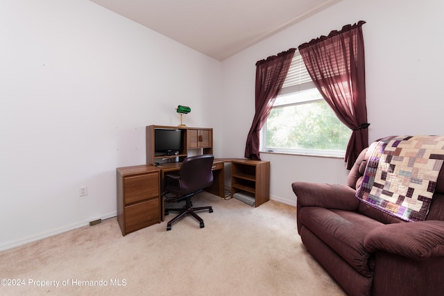 home office with light colored carpet