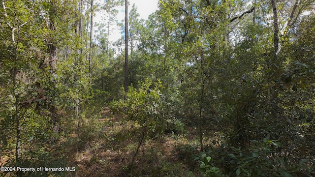 view of local wilderness