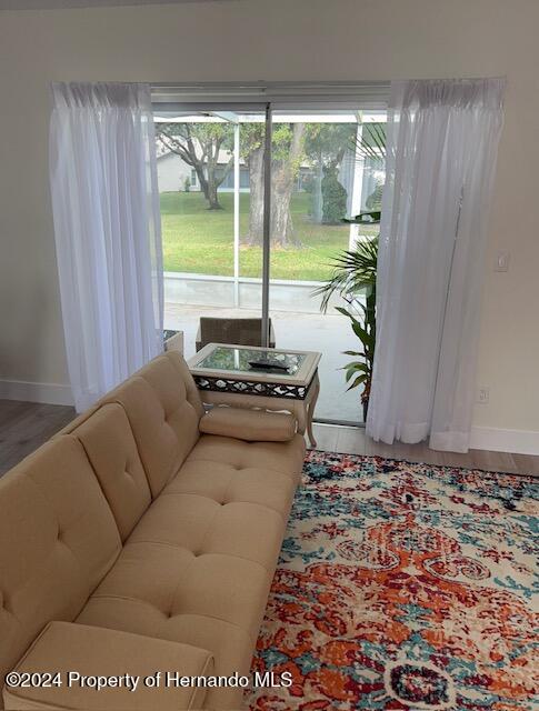 living room featuring hardwood / wood-style flooring