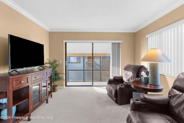 carpeted living room with a textured ceiling and ornamental molding