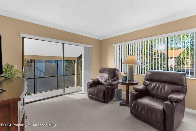 sitting room featuring a textured ceiling, light carpet, and ornamental molding