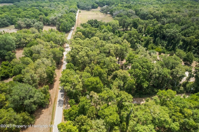 9986 New Hope Ct, Floral City, FL 34436 - photo 24