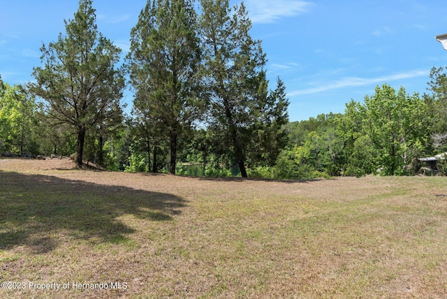 9986 New Hope Ct, Floral City, FL 34436 - photo 47