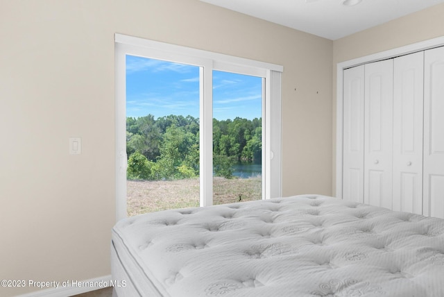 bedroom featuring a closet and a water view