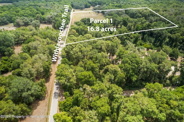 9986 New Hope Ct, Floral City, FL 34436 - photo 98
