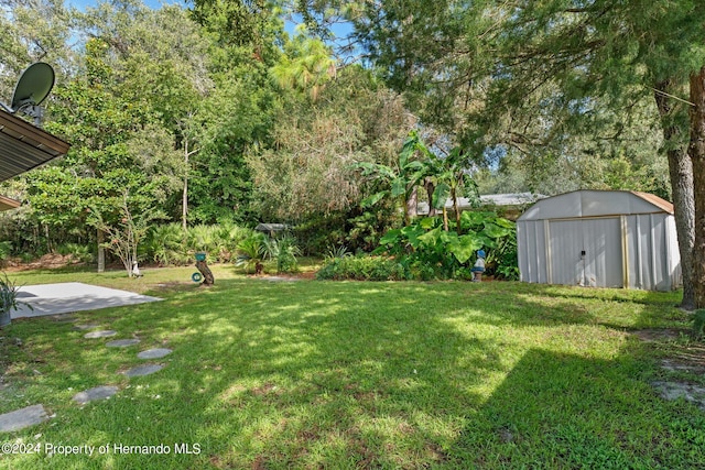 view of yard featuring a shed