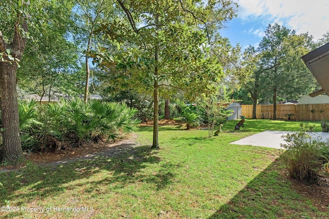 view of yard with a storage unit and a patio area