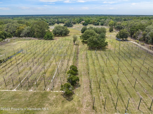 birds eye view of property featuring a rural view