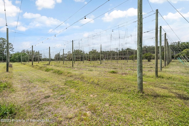 view of yard featuring a rural view