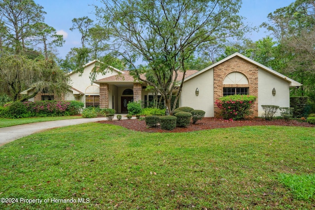 ranch-style house featuring a front yard