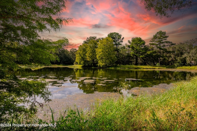 property view of water