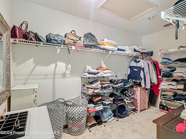 view of spacious closet