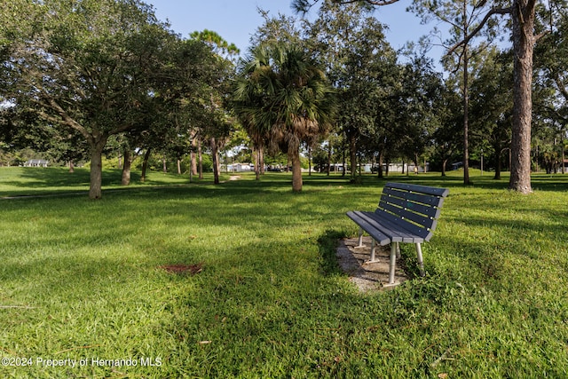 surrounding community featuring a lawn