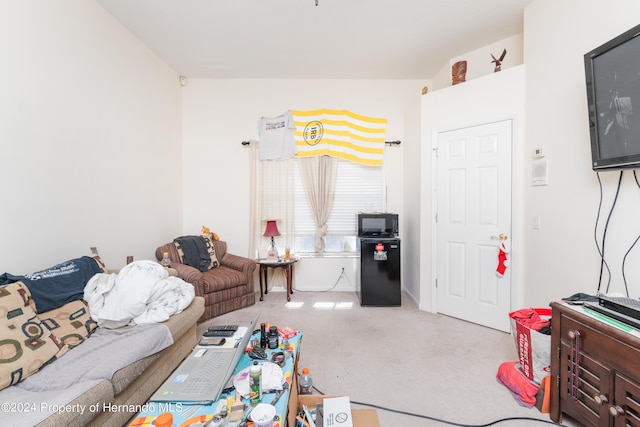 living room featuring light colored carpet