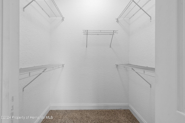 walk in closet featuring carpet flooring