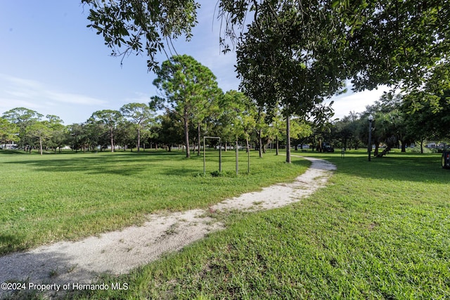 6635 Stewart Ave N, Saint Petersburg, FL 33702 - surrounding community with a yard and view of wooded area