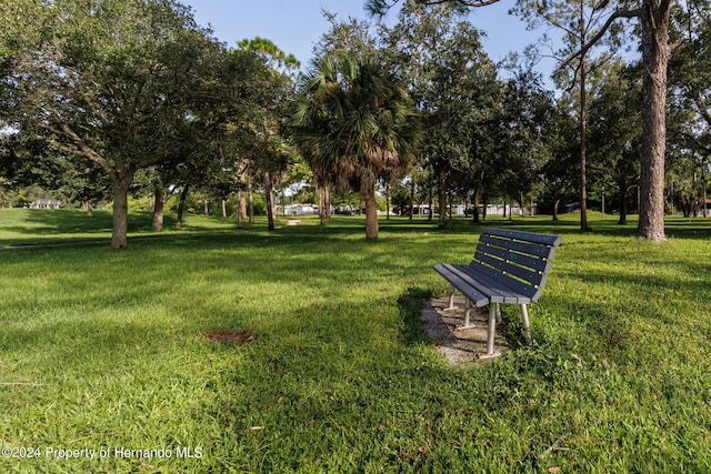 6635 Stewart Ave N, Saint Petersburg, FL 33702 - view of home's community with a yard