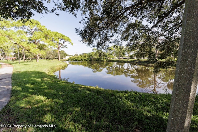 6635 Stewart Ave N, Saint Petersburg, FL 33702 - water view