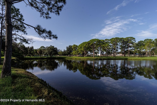 6635 Stewart Ave N, Saint Petersburg, FL 33702 - water view